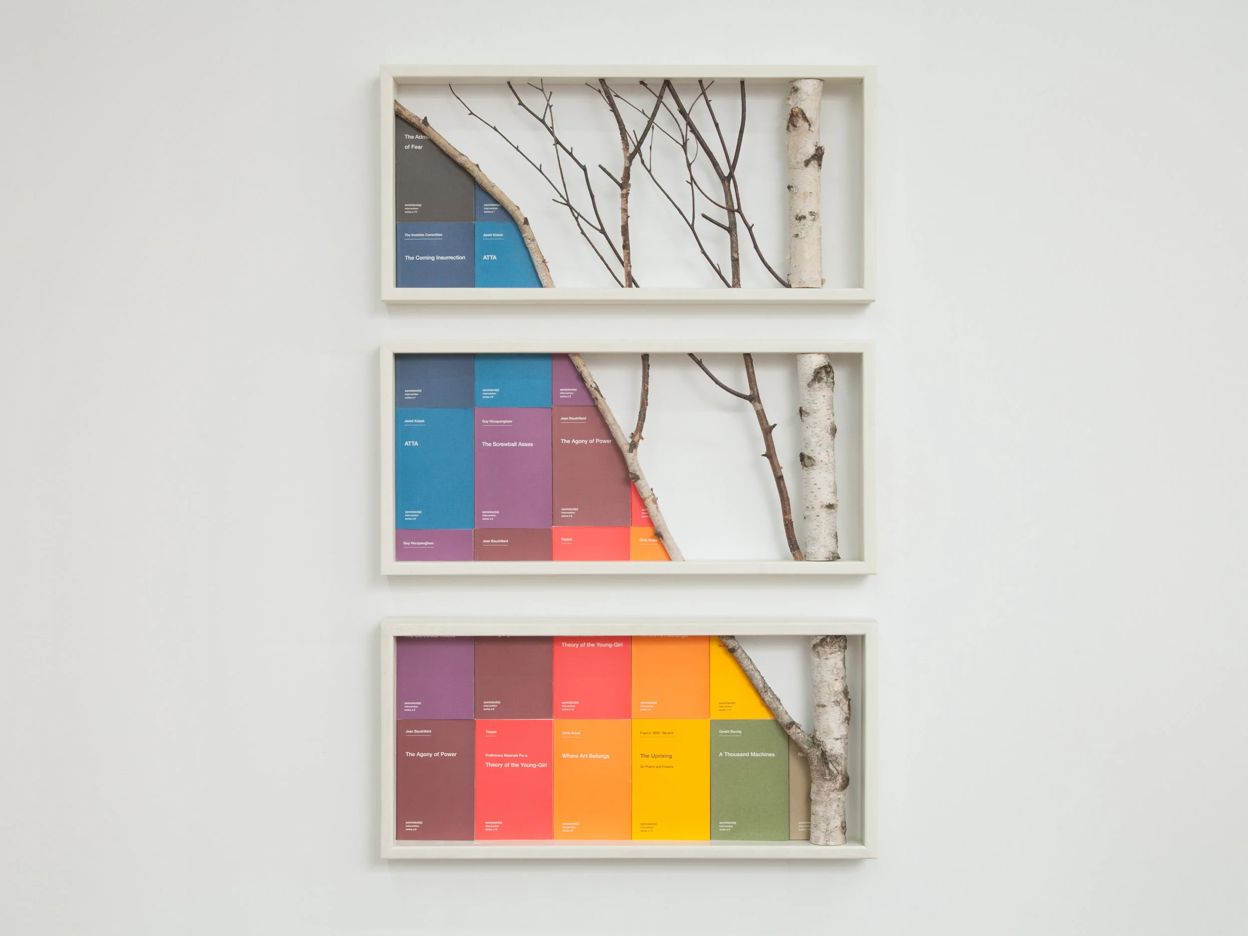 Broken Semiotexte grid in Birch Branch Triptych Pine Framed