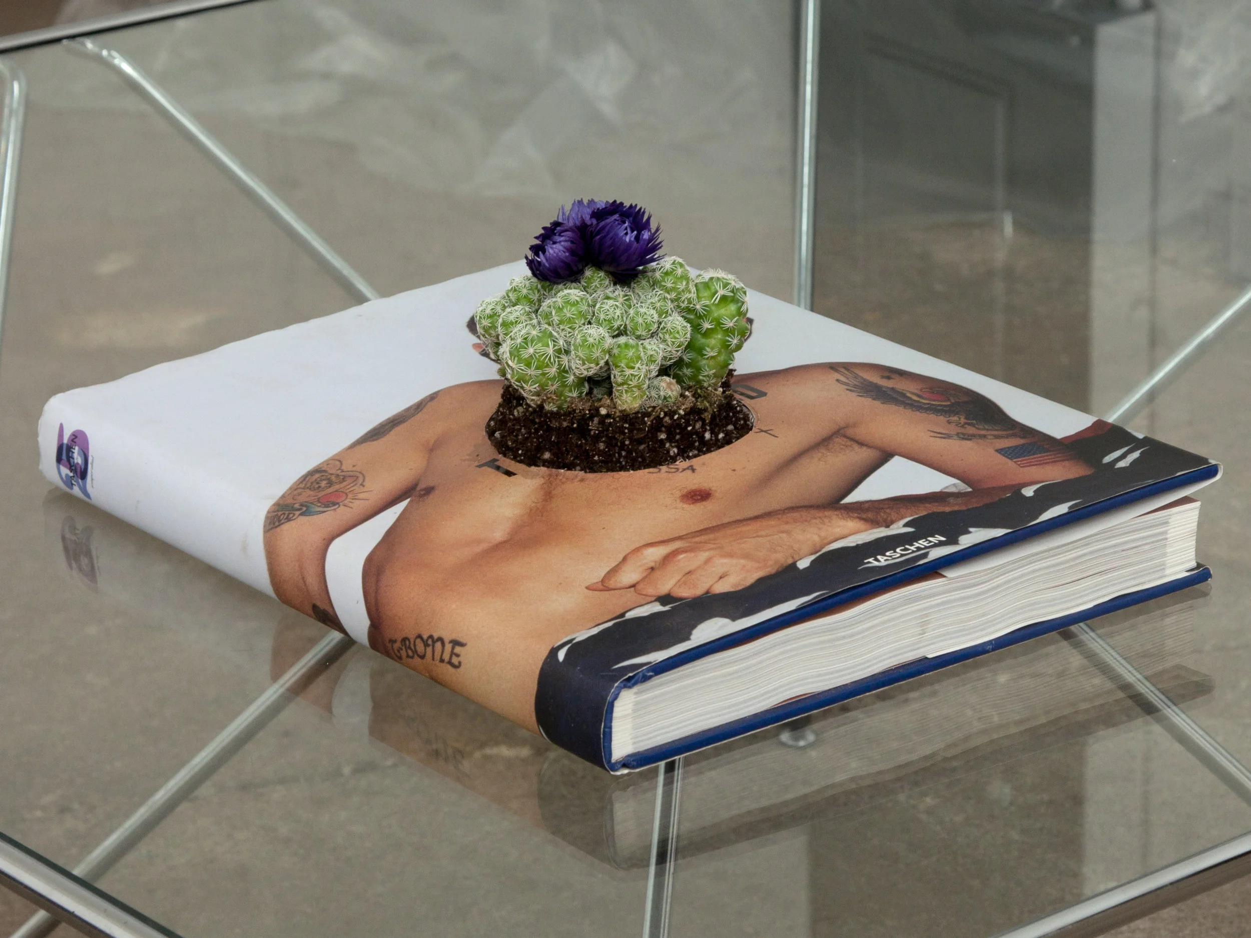 Upcycle planter for book you now find problematic