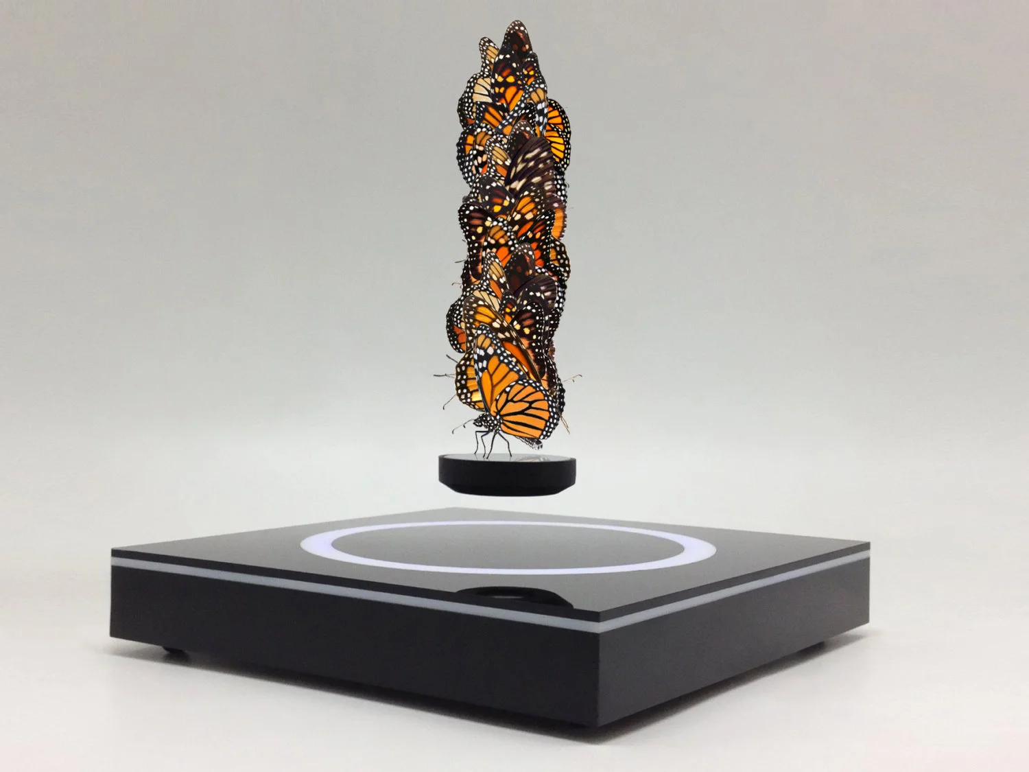 700 monarch magnetic levitation