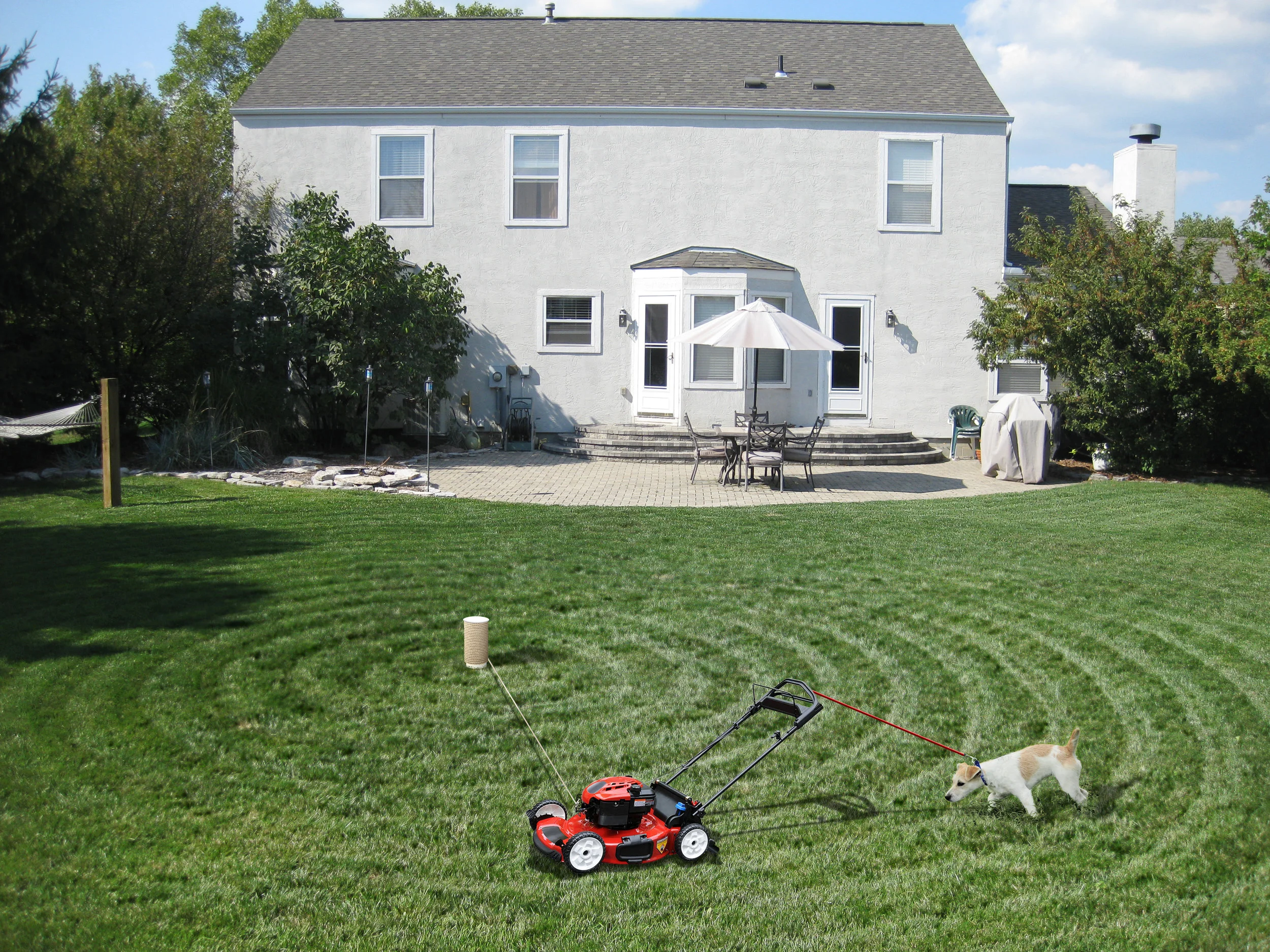 Demand Full Automation of the Teenage Workforce NOW