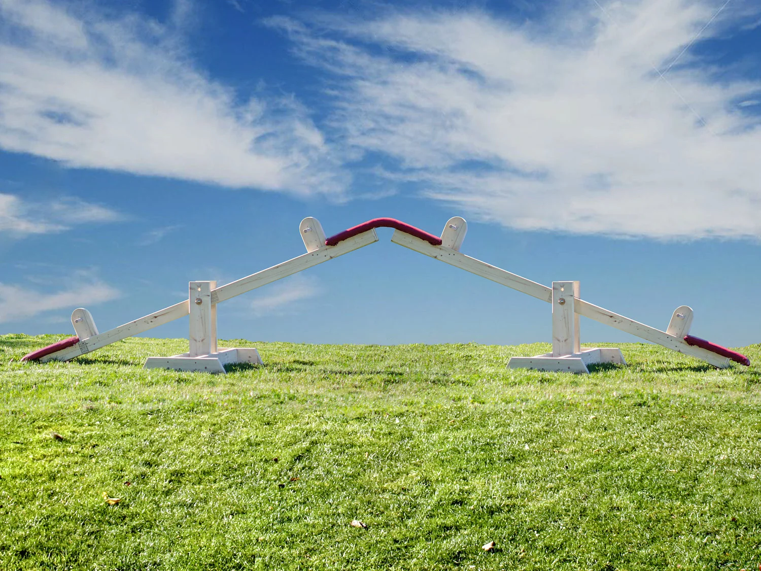 Protest Vote See Saw