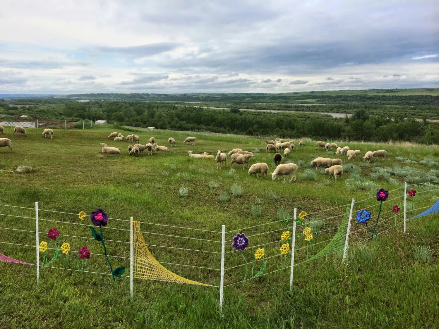 yarn bombed electric fence