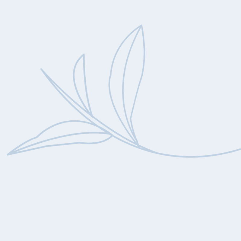 Botanical accent at Grace Behavioral Health counseling