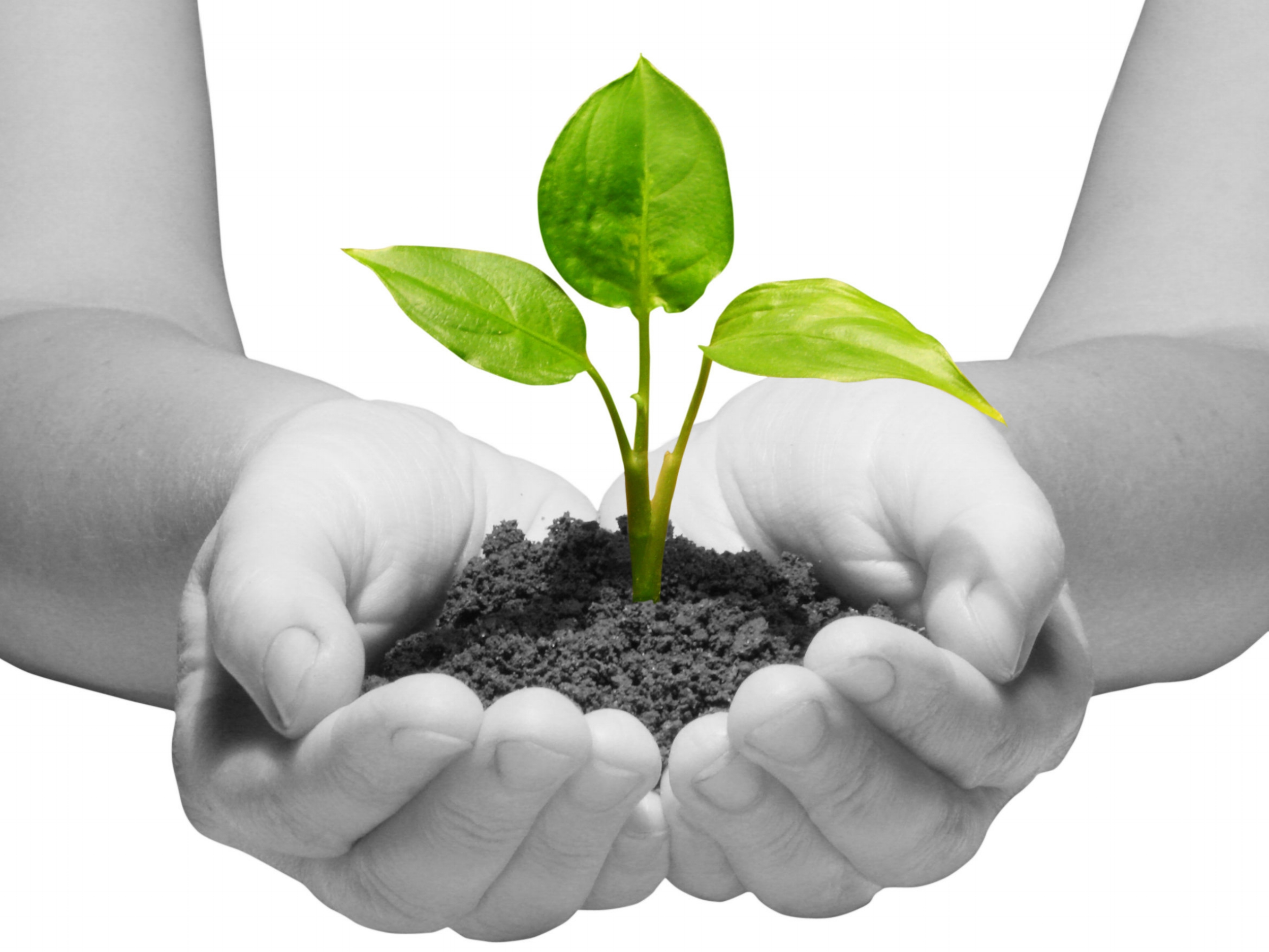 Grace Behavioral Health, Counseling & Therapy in Belvidere, New Jersey