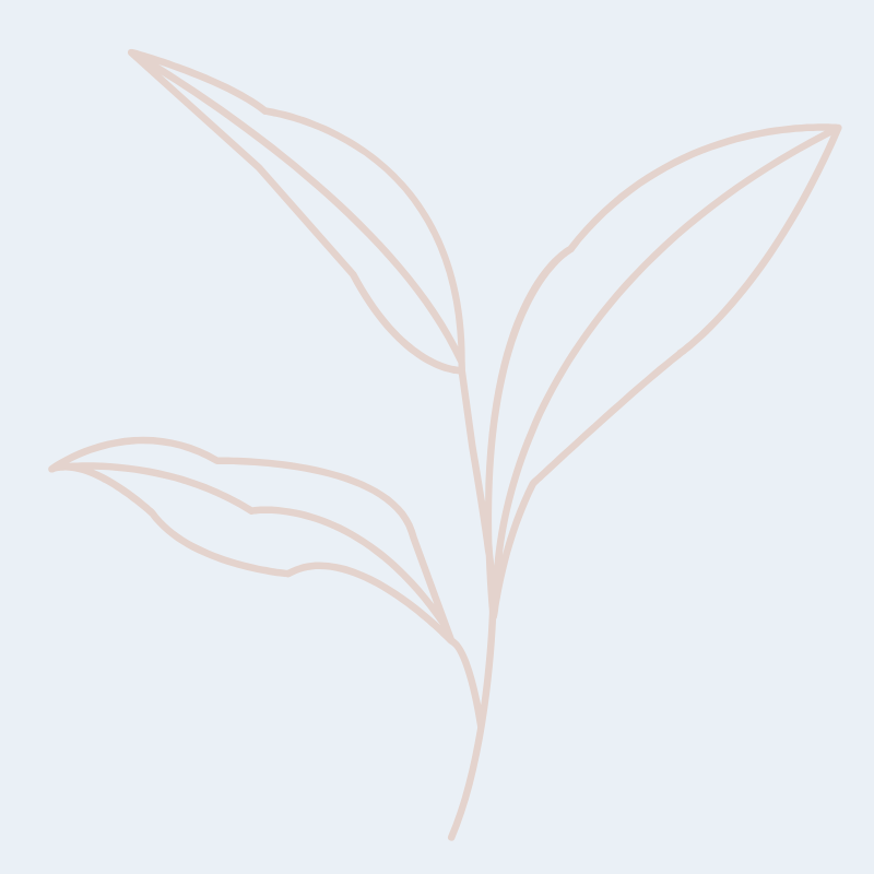 Outline of a plant with three leaves on a light blue background.