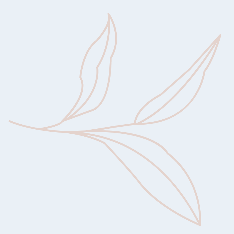 A simple line drawing of three leaves on a branch.