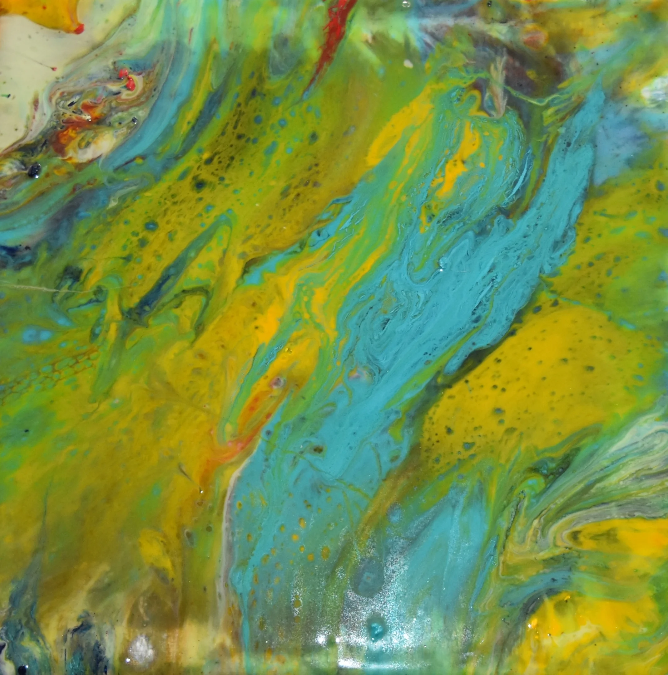 Charlotte Strong Art Creations