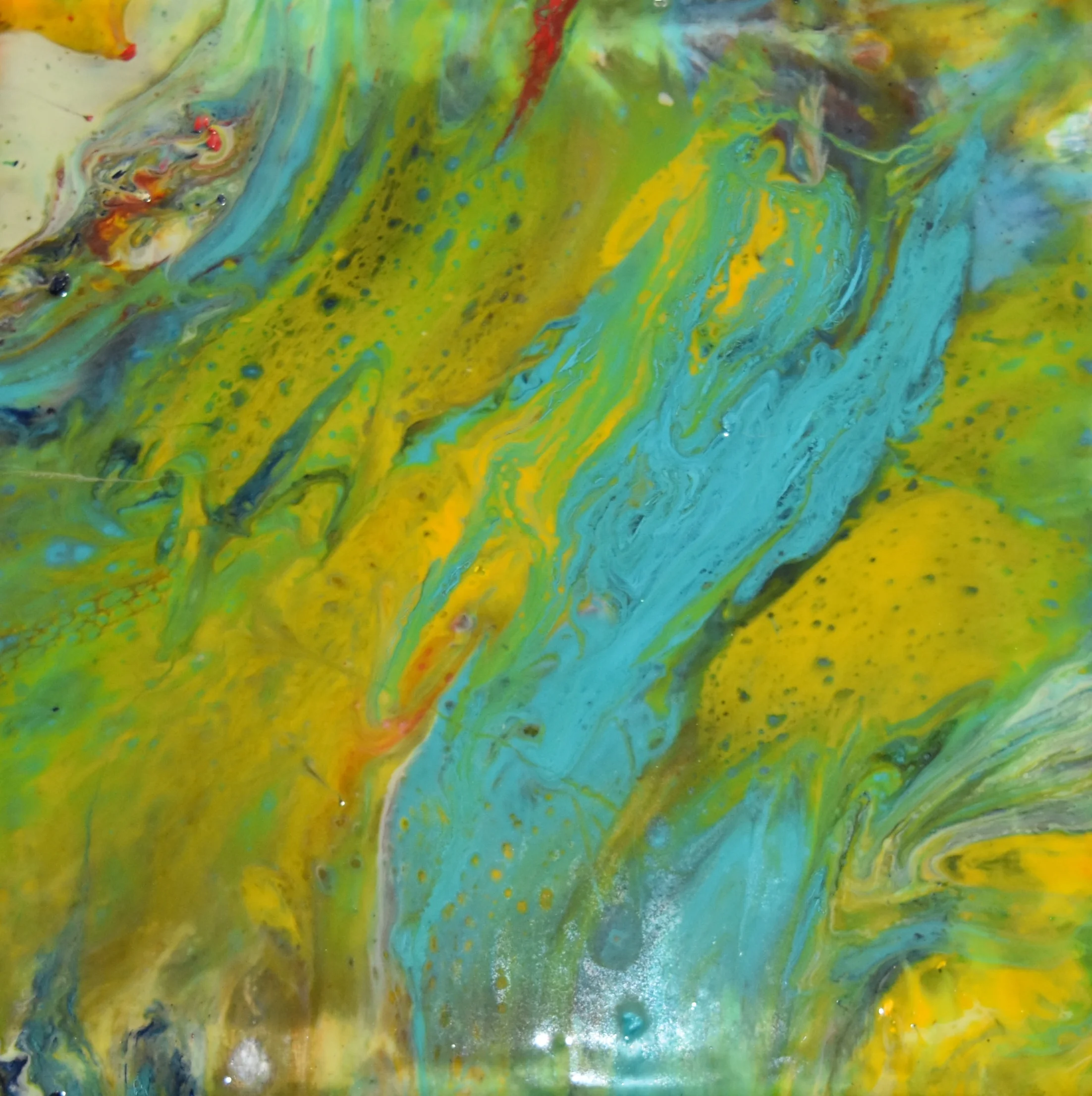 Charlotte Strong Art Creations