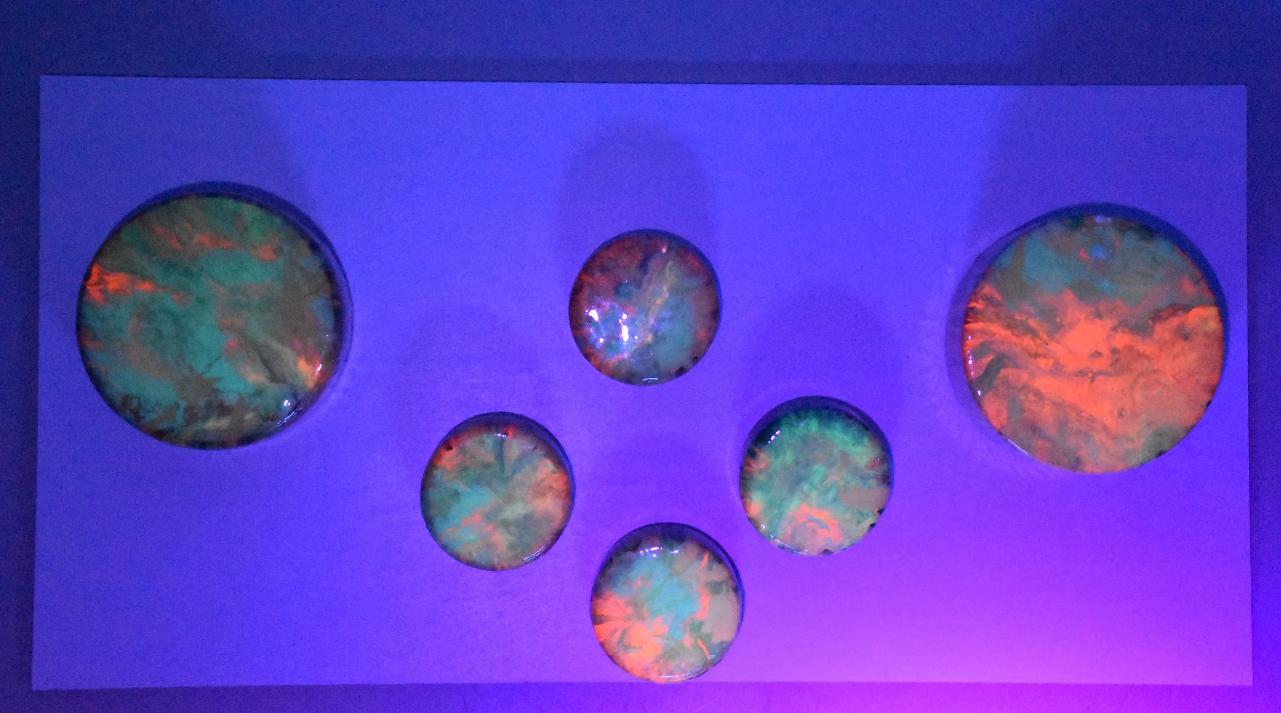 Charlotte Strong Art Creations