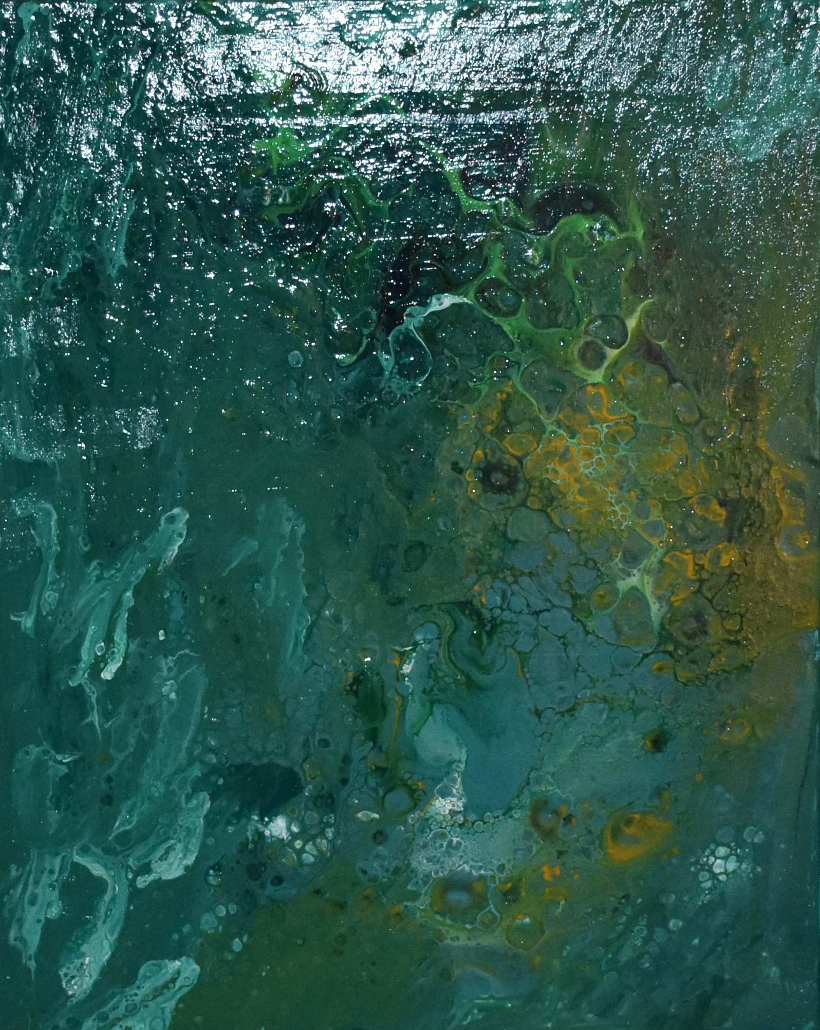 Charlotte Strong Art Creations