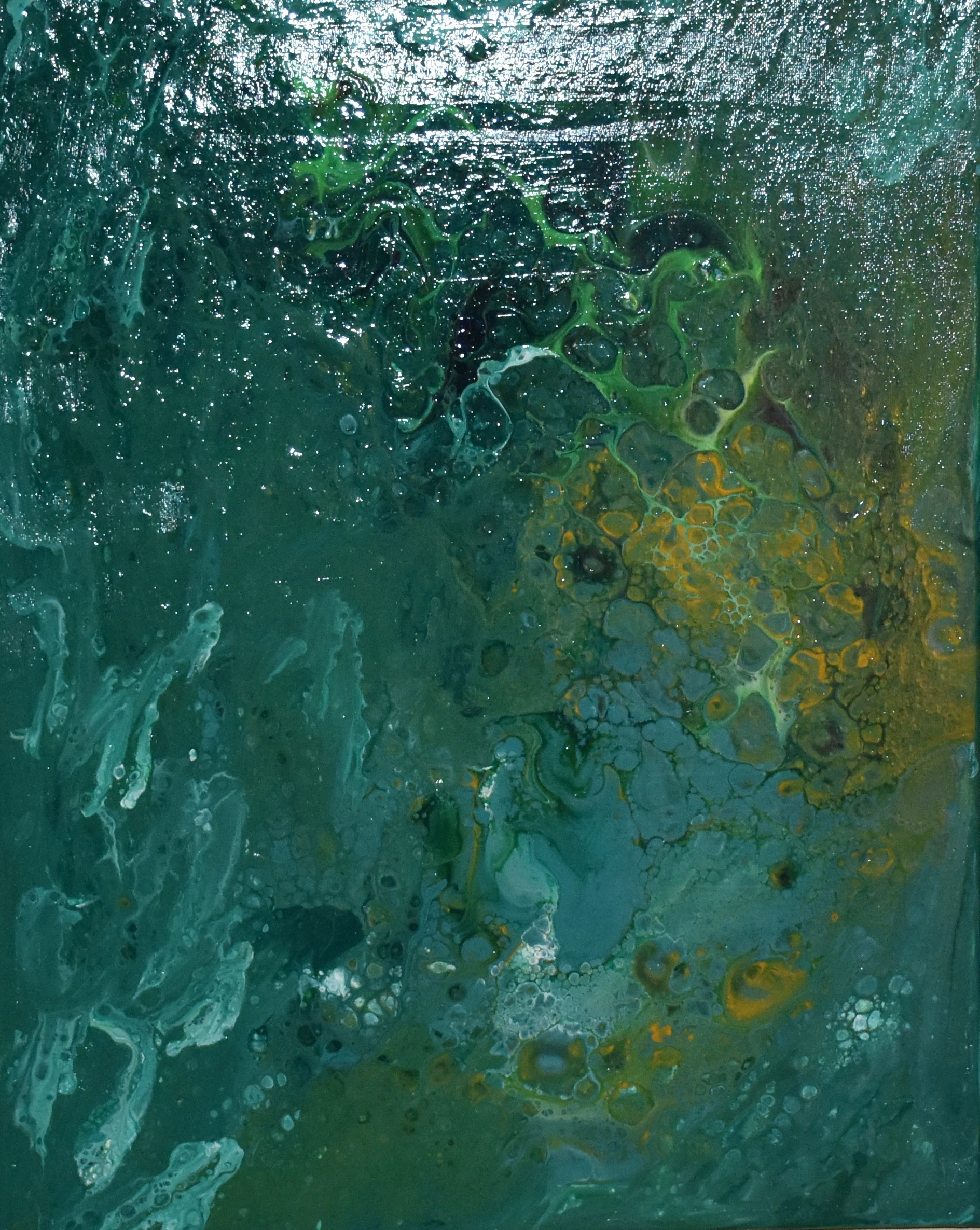 Charlotte Strong Art Creations