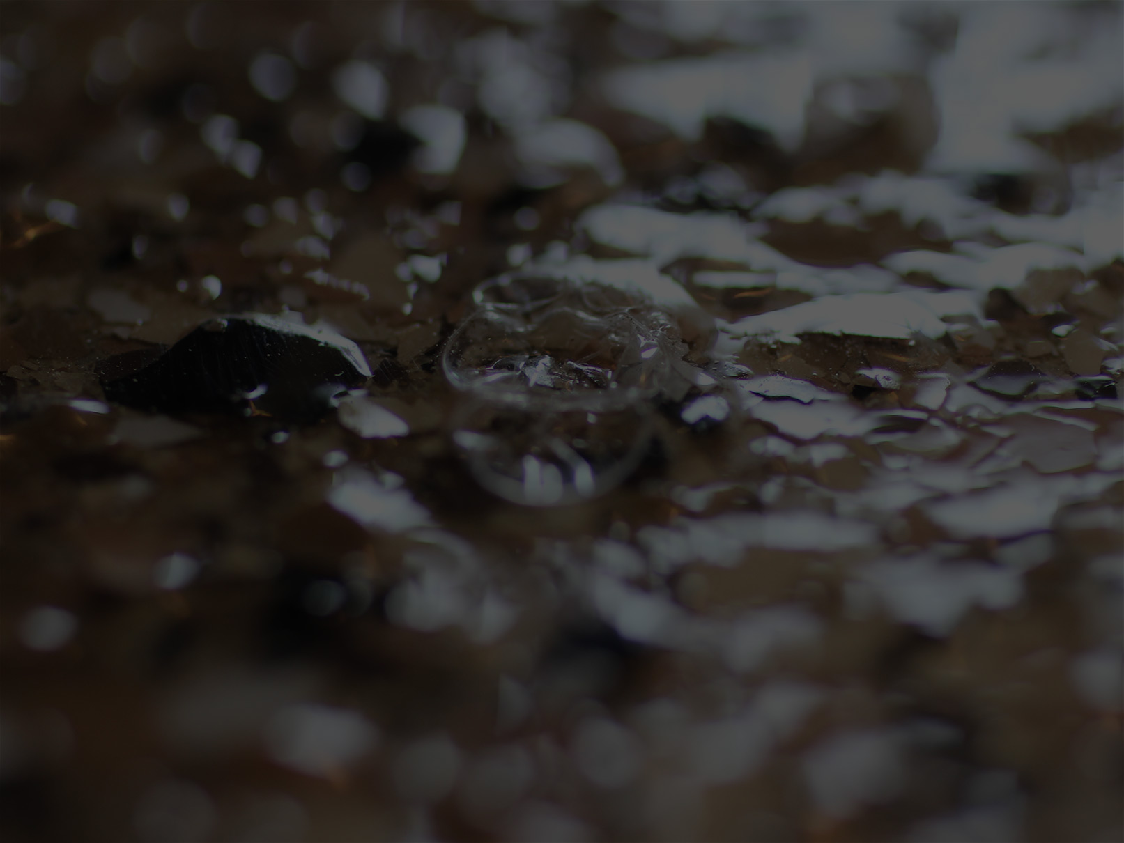 background3.jpg