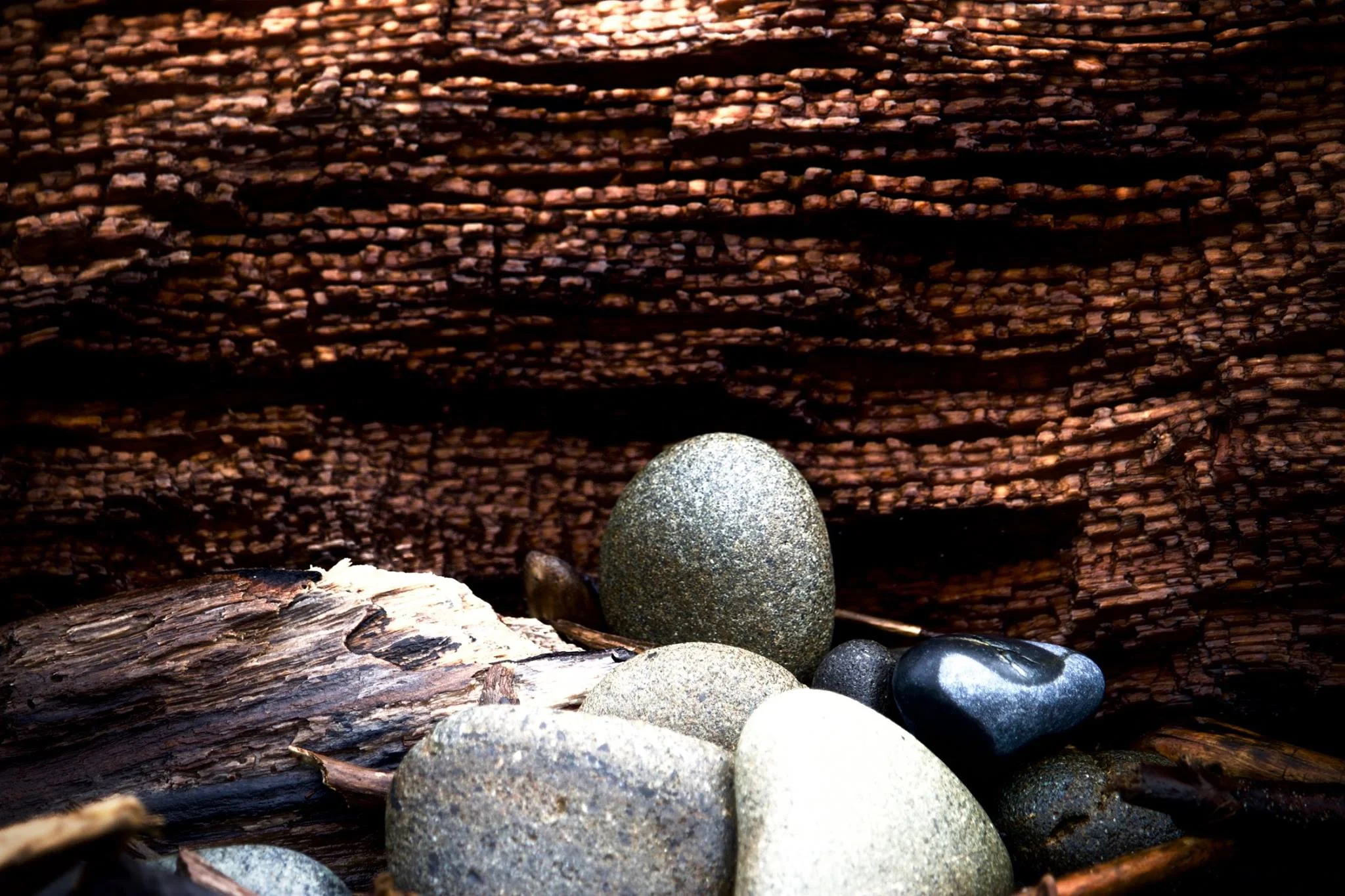 forest altar.jpg