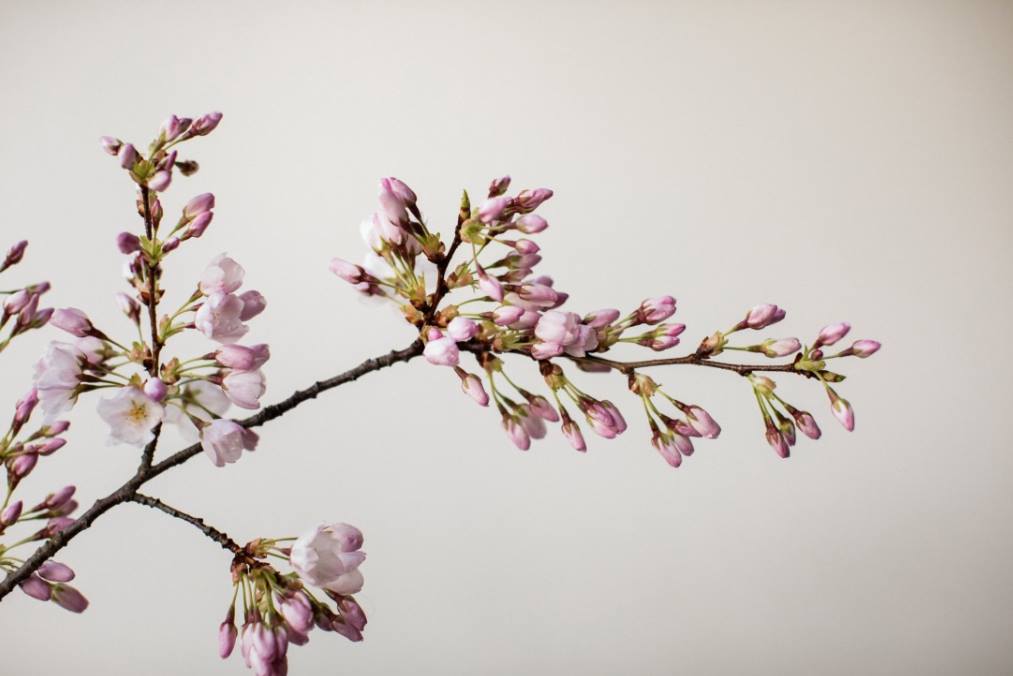spring balancing.jpg