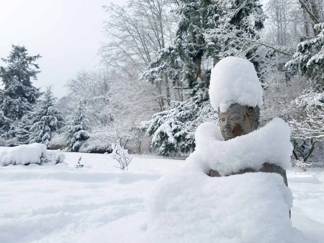 Winter+Buddha.jpeg
