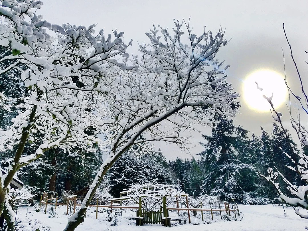 WHIDBEY | WINTER