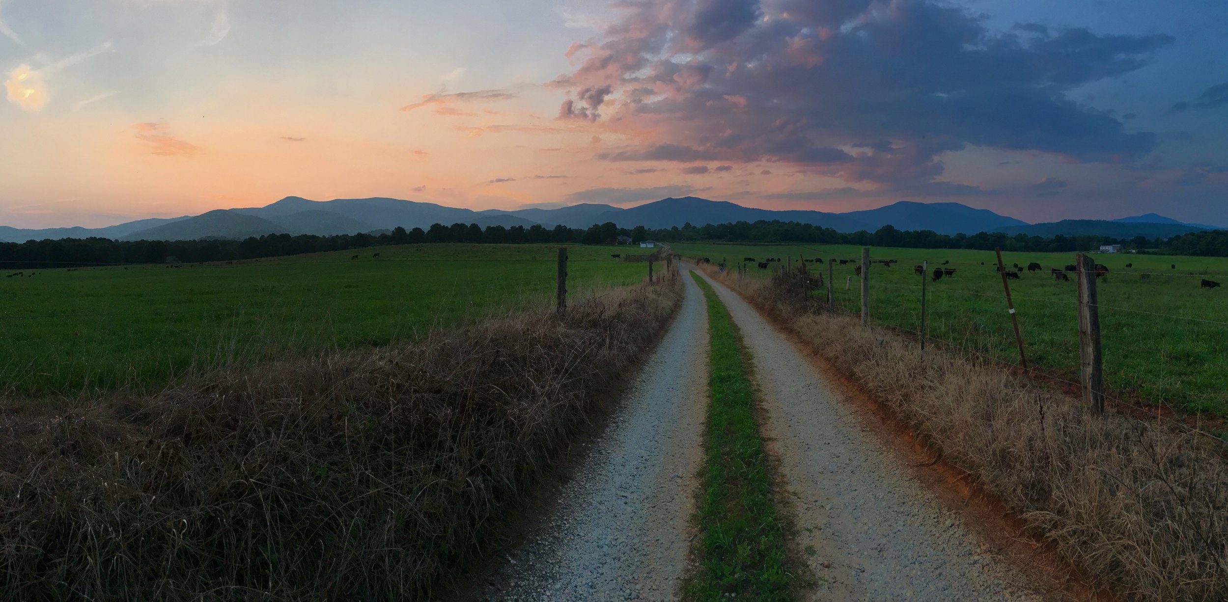 Favorites - 1 of 1.jpeg