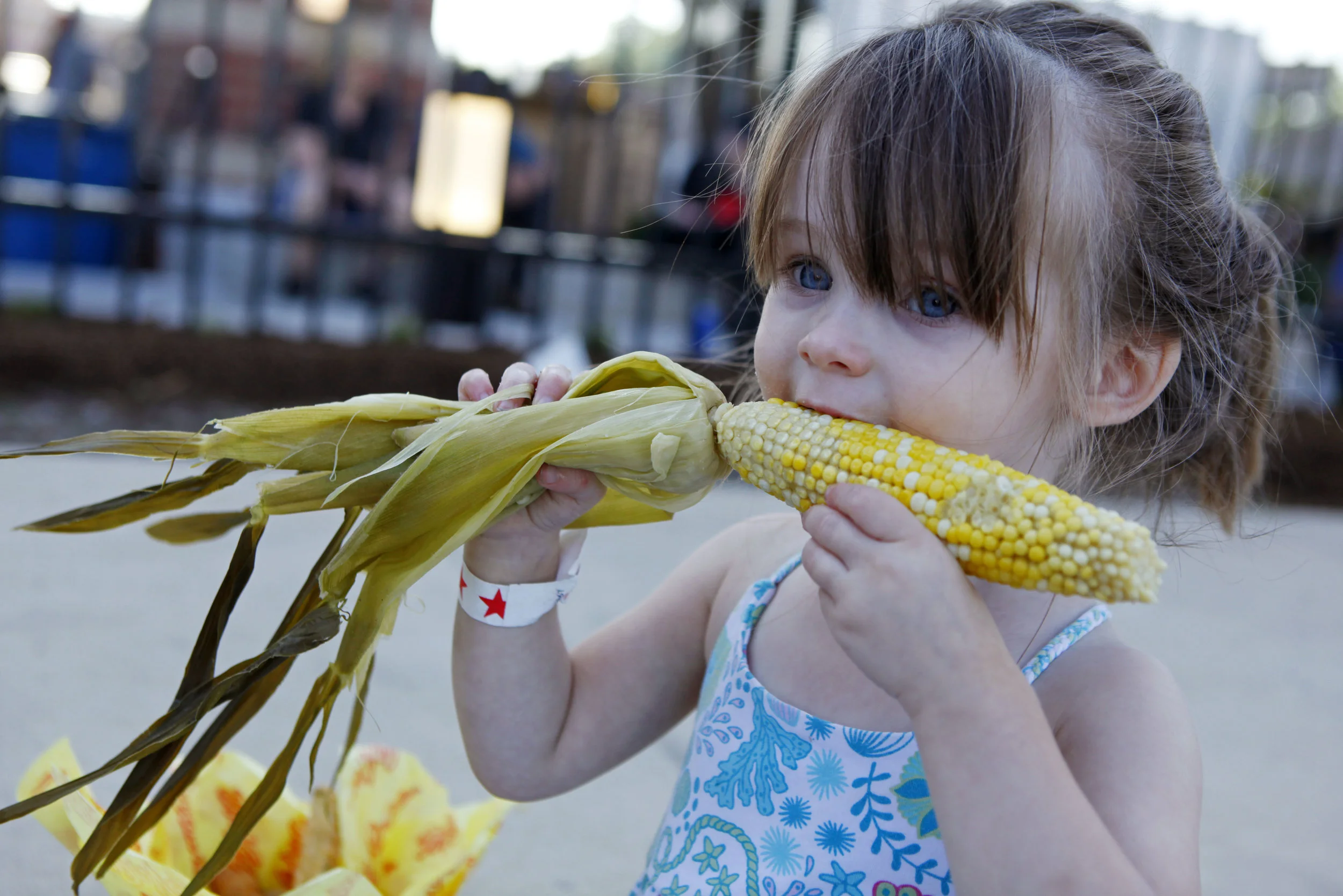 Rori Moorehead, of Valparaiso, digs into an ear of corn during Crown Point's annual corn roast at Bulldog Park.