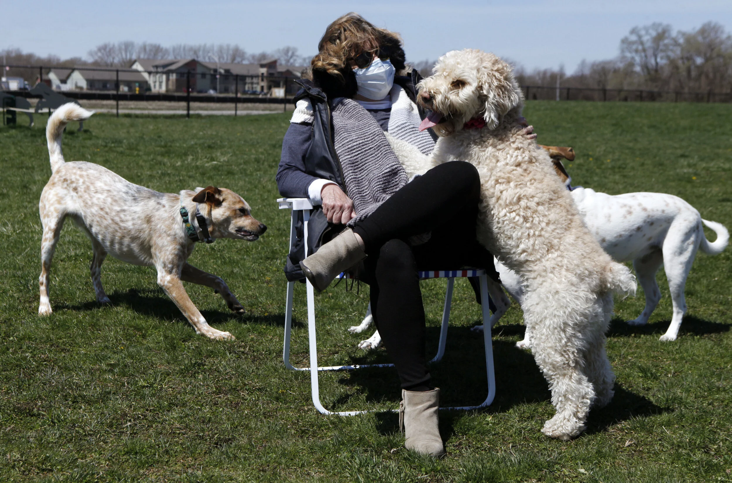 Kathy Miller, of Dyer, pets her dog, Harlow, on Monday as playtime ensues at the dog park on April 20, 2020 at Dyer's Central Park.