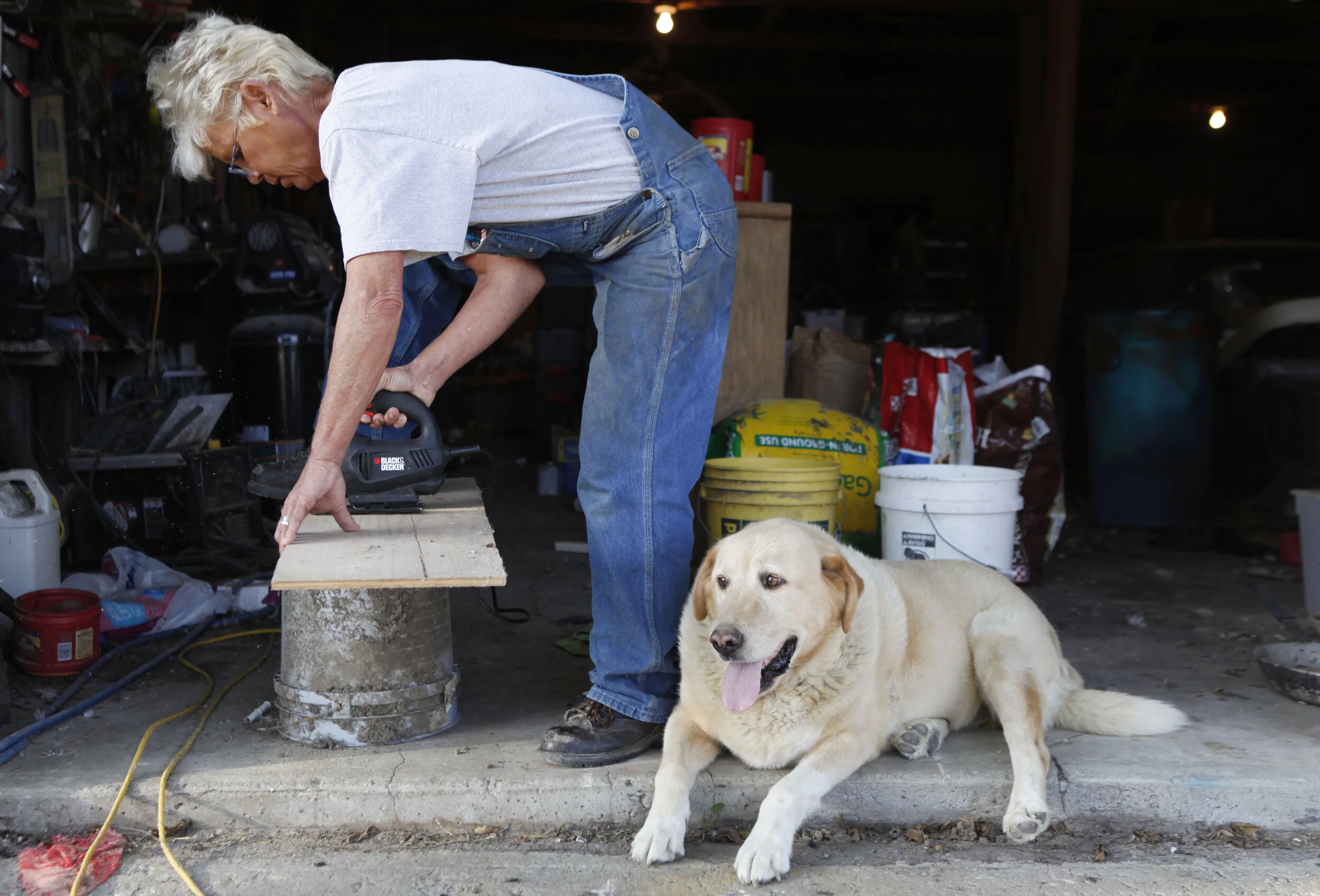  Velma Lang crafts a plywood seat for a golf cart in one of her sheds while her dog, Mickey, relaxes next to her at her farm. One of Lang’s many side projects includes repairing the motor on a golf cart and outfitting it to look like a locomotive. “I
