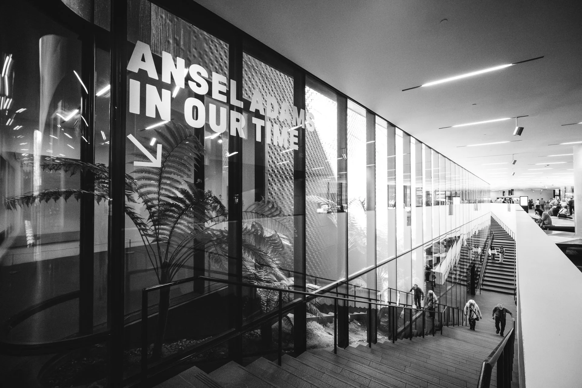 20230713-DSCF4603-Enhanced-NR-Edit 2.JPG