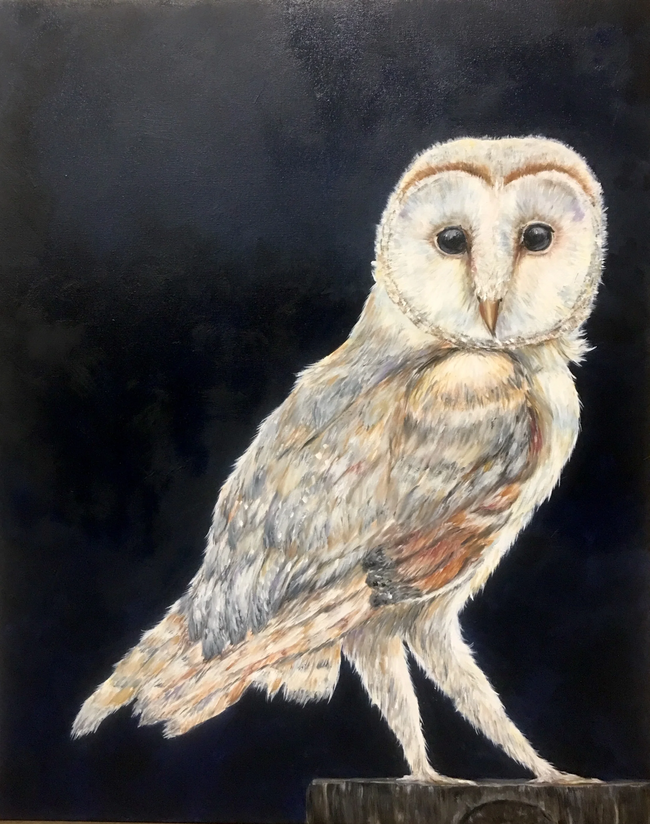 SOLD.  Hedwig, Barn Owl Oil Painting