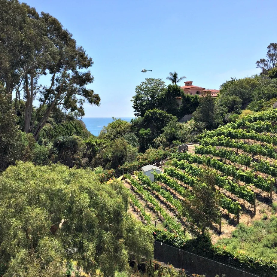 malibu-inland-vineyard-house.jpg