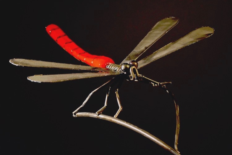 Dragonfly (Red)