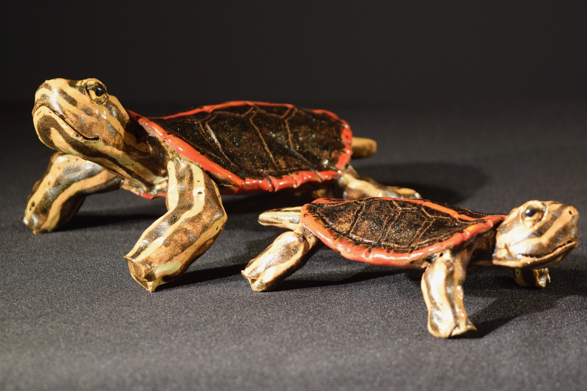 Painted Turtles