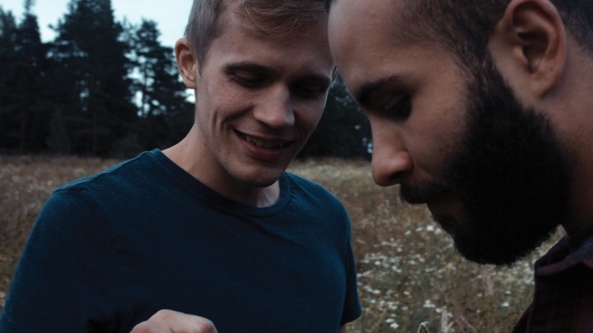 A MOMENT IN THE REEDS