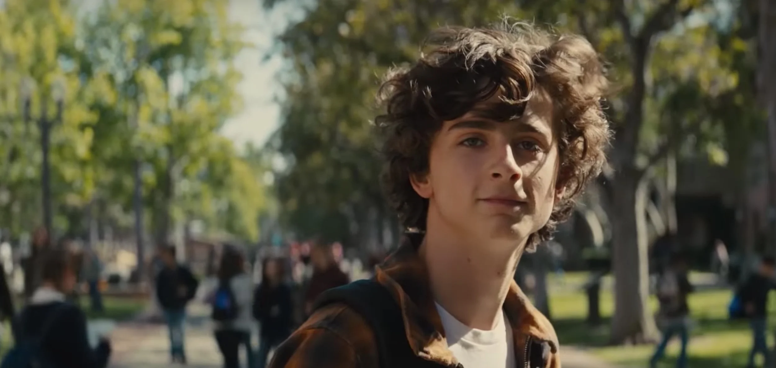 TIMOTHÉE CHALAMET | Nic Sheff | BEAUTIFUL BOY