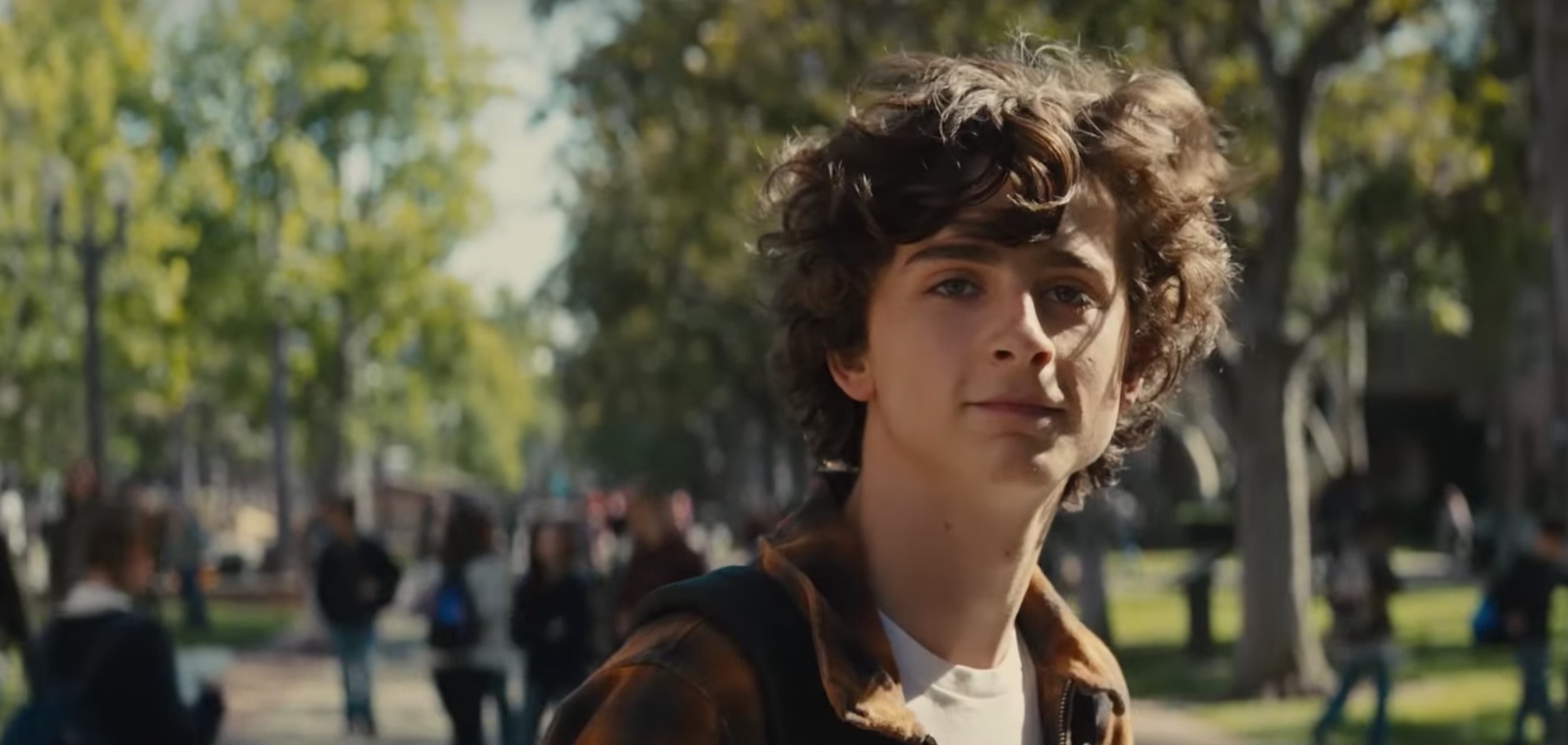 TIMOTHÉE CHALAMET | Nic Sheff | BEAUTIFUL BOY