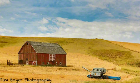 Blog Tim Boyer Photography