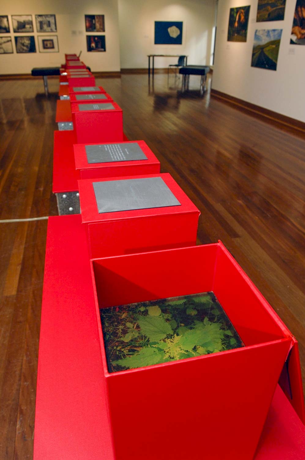 Light box installation Macquarie University Gallery