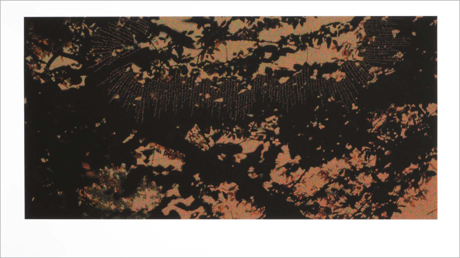 Travelling I . gouache on autochrome, courtesy Centre de recherche Palace of Versailles, 50 x 100 cm