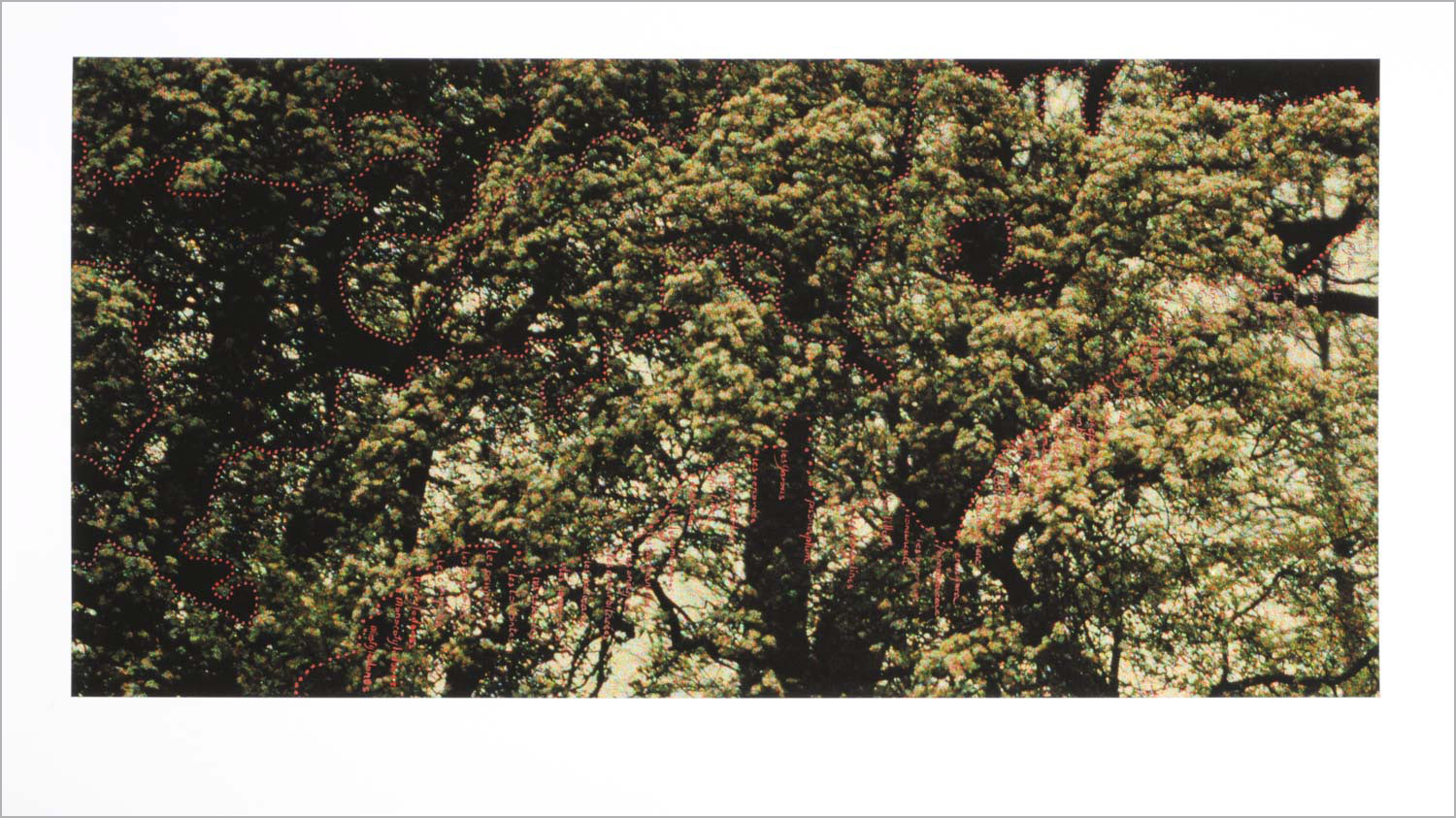 Observing . gouache on autochrome, courtesy Centre de recherche Palace of Versailles, 50 x 100 cm
