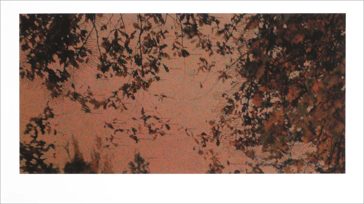Travelling V. gouache on autochrome, courtesy Centre de recherche Palace of Versailles, 50 x 100 cm