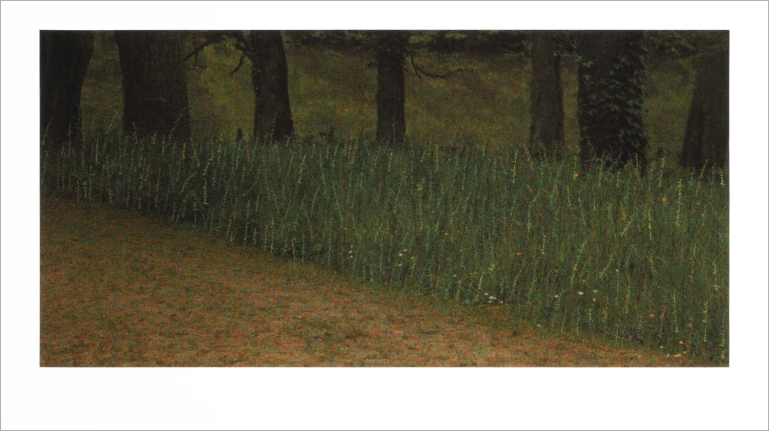 561 Gifts . gouache on autochrome, courtesy Centre de recherche Palace of Versailles, 50 x 100 cm