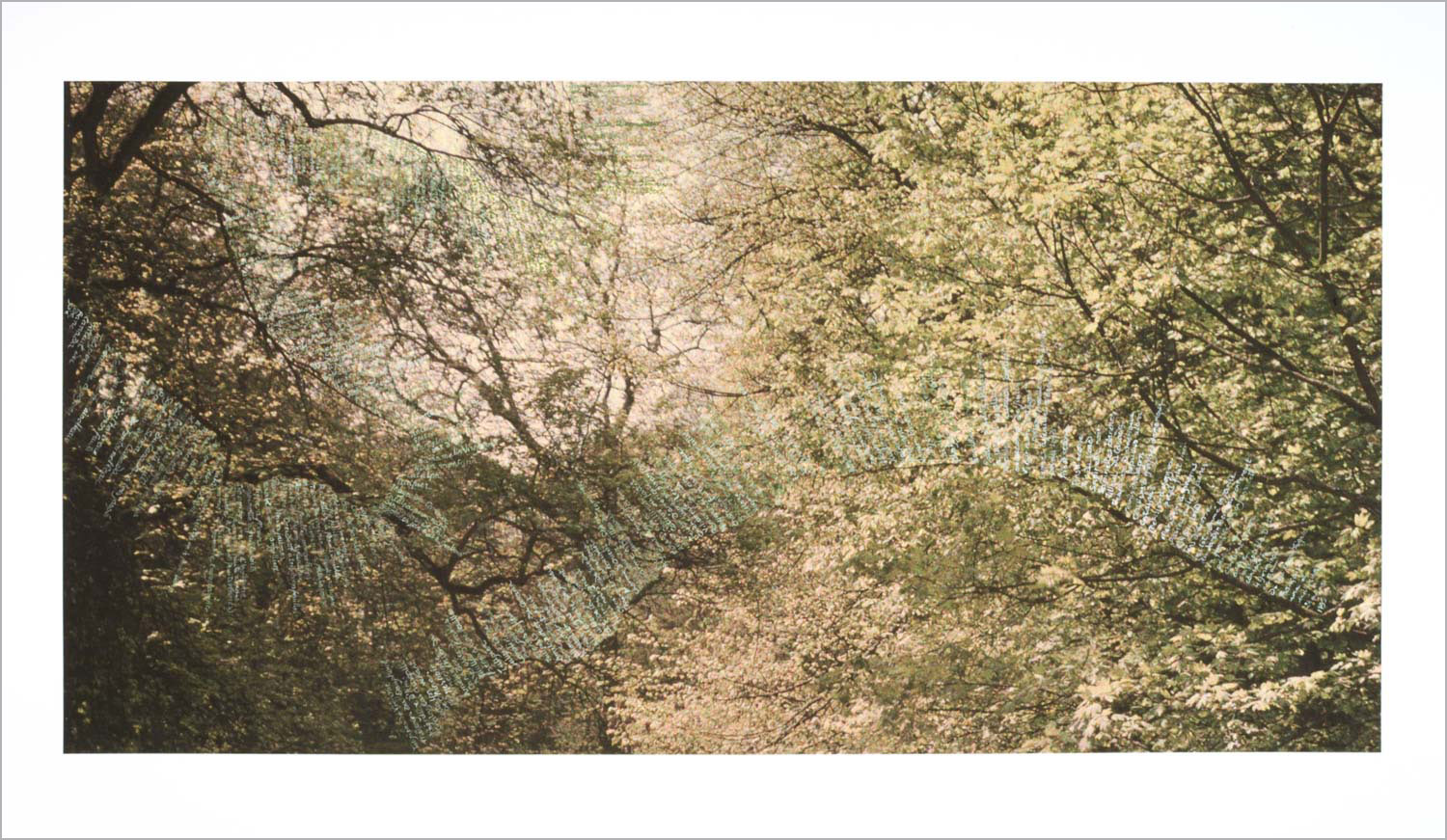Travelling II . gouache on autochrome, courtesy Centre de recherche Palace of Versailles, 50 x 100 cm