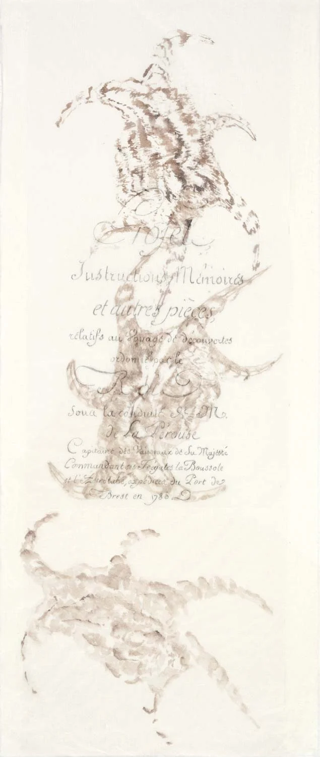 Gouty spider, Lambis chiragra. gouache and graphite text, 96 x 33 cm
