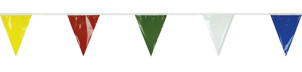 Multicolor Pennant String Flags