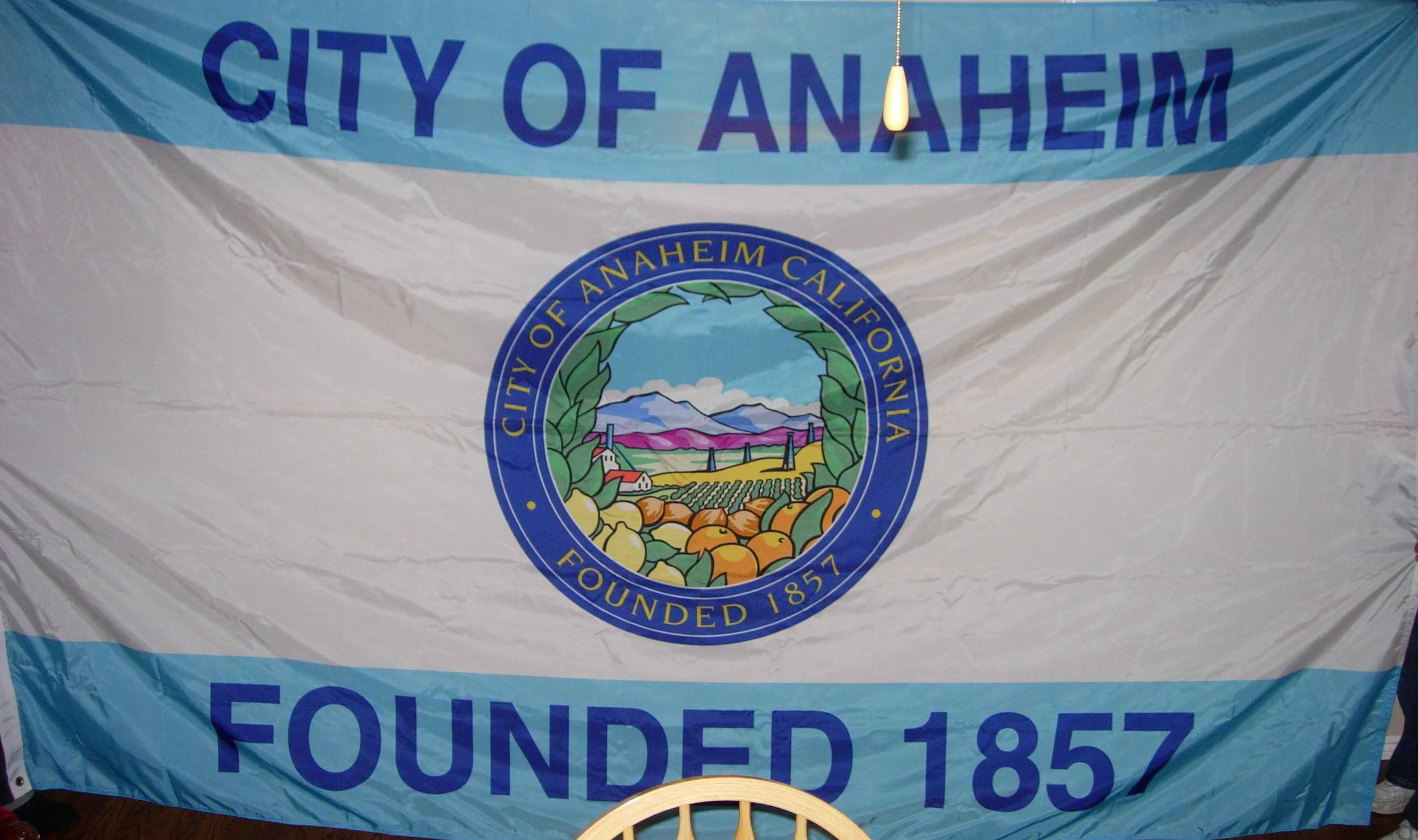 CITY OF ANAHEIM FLAGS (1).jpg