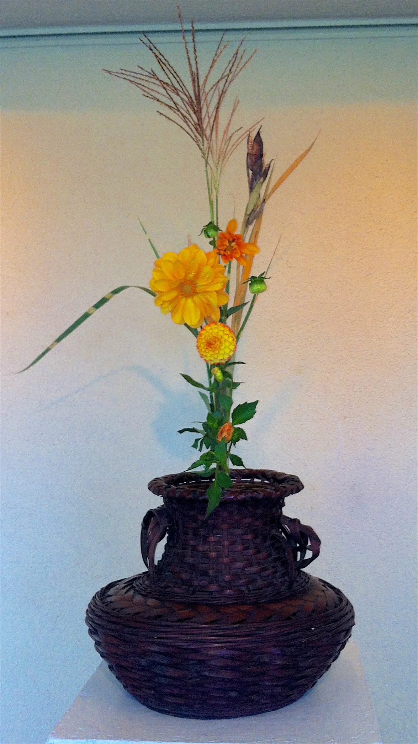 Shanshuike shoka by Kathy Marble