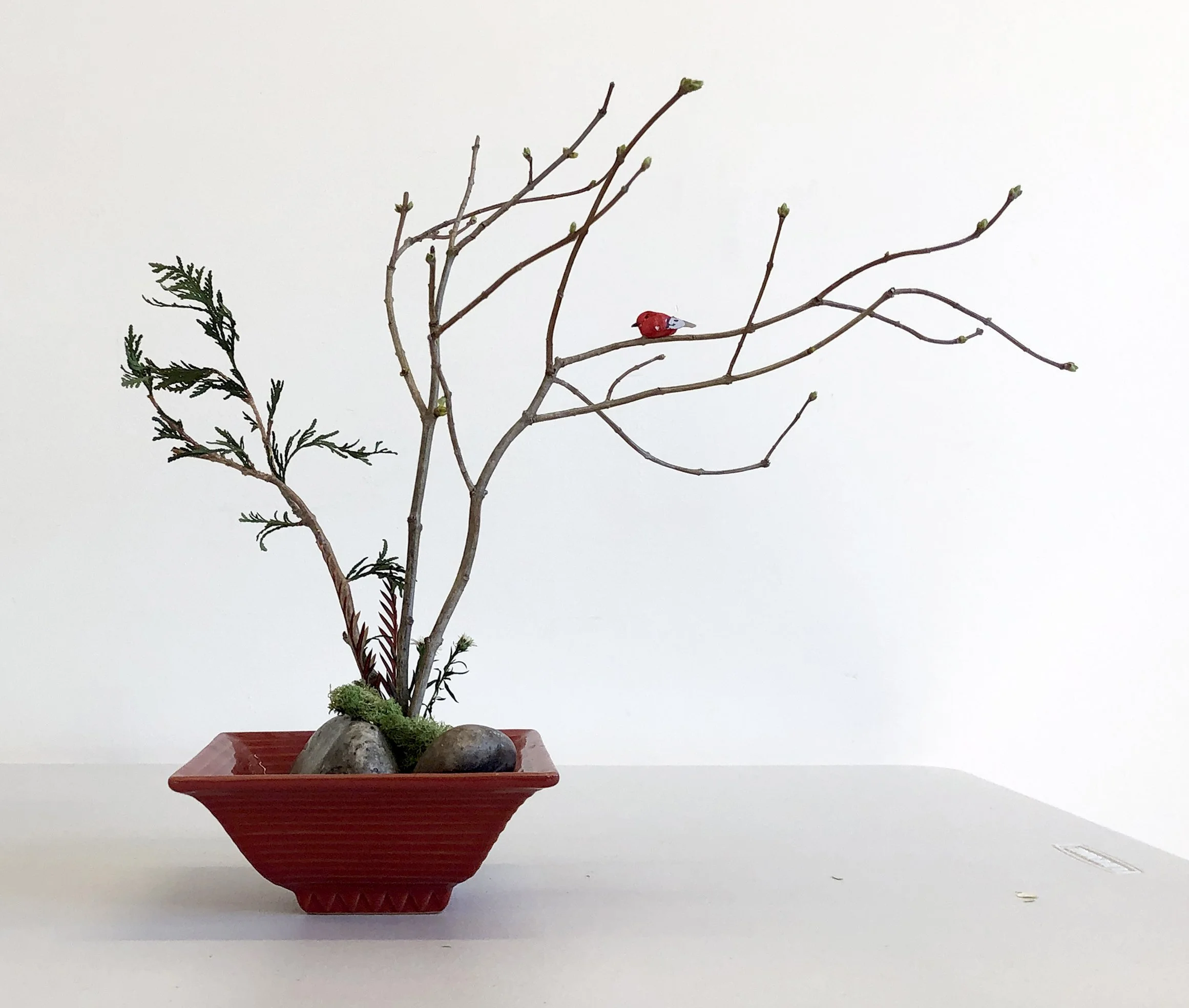 Hatsuike :Freestyle Landscape and Dish Garden