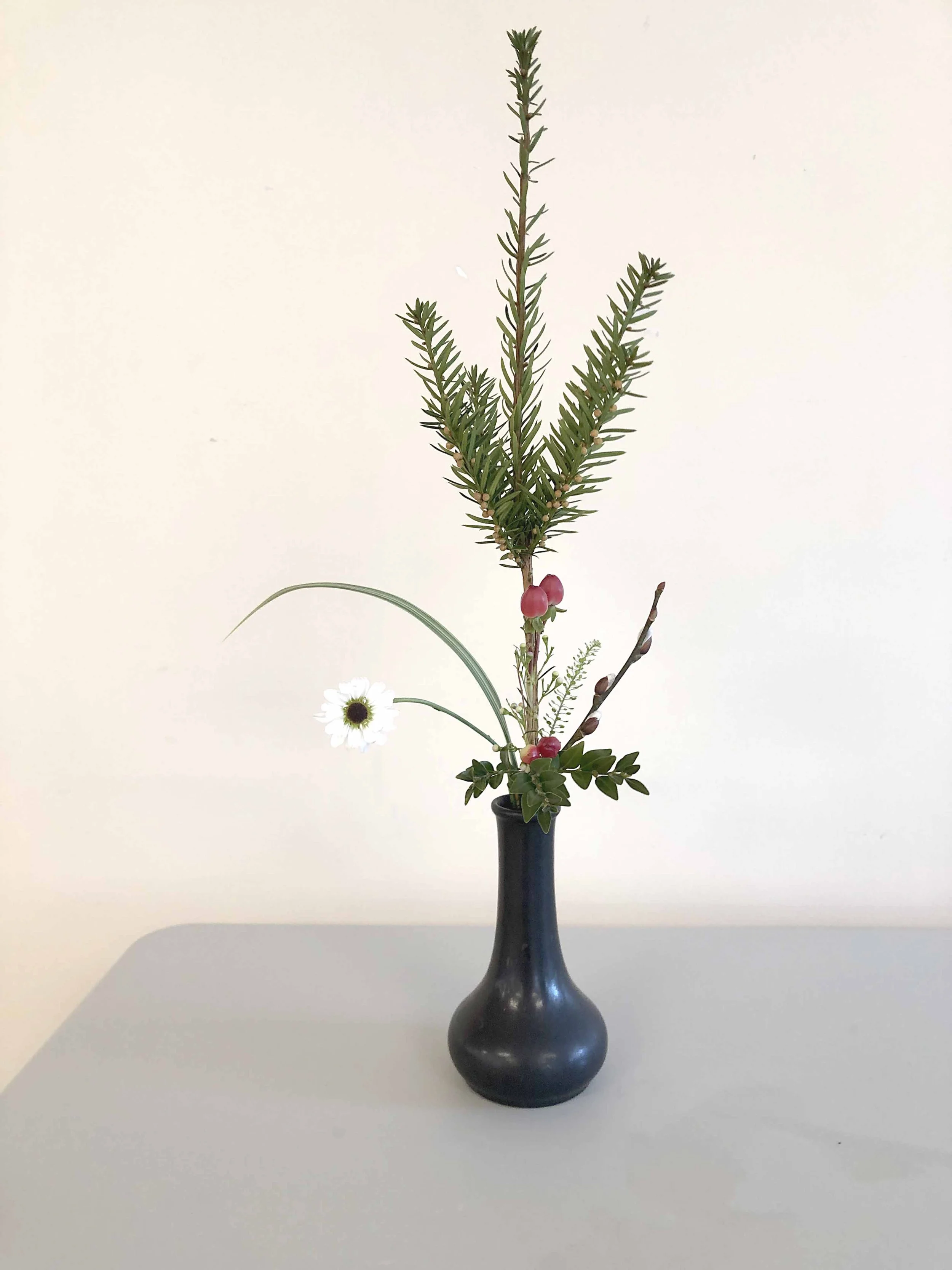 Tatehana and Miniature Freestyle