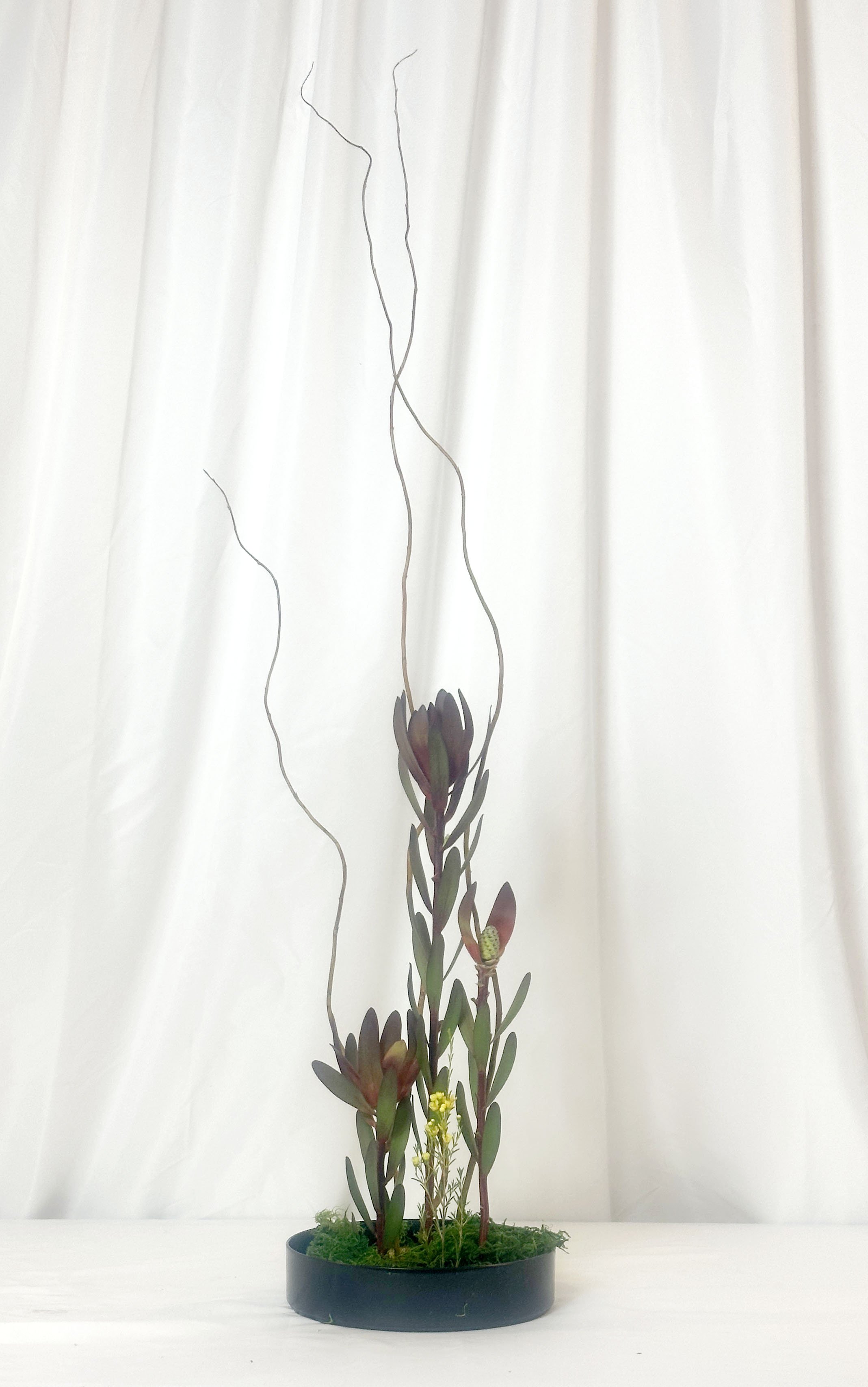 Art Jiyuka - Melinda Bruno Smith