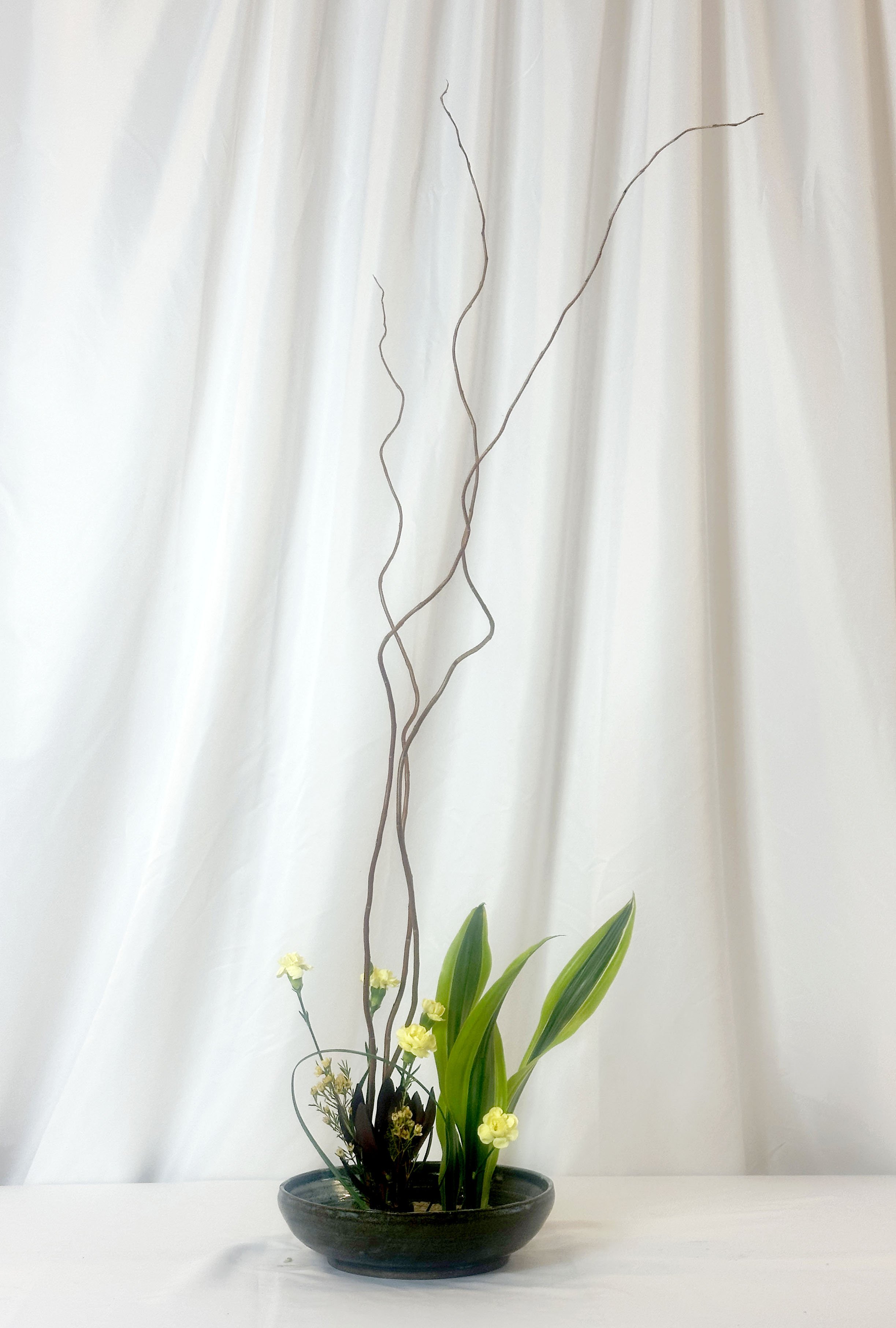 Art Jiyuka - Susan Foye