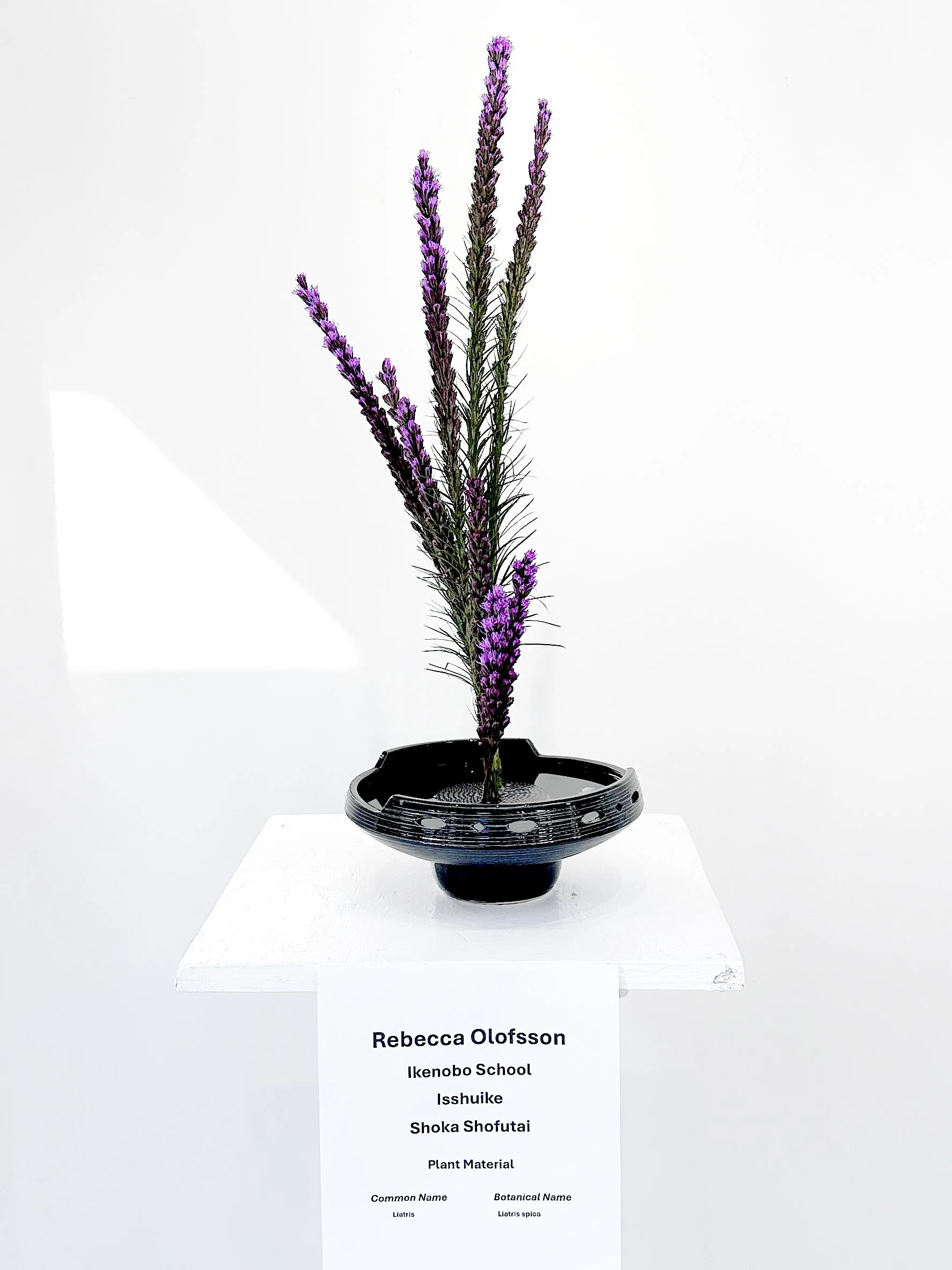 2025-10-25 10.21.32.jpg