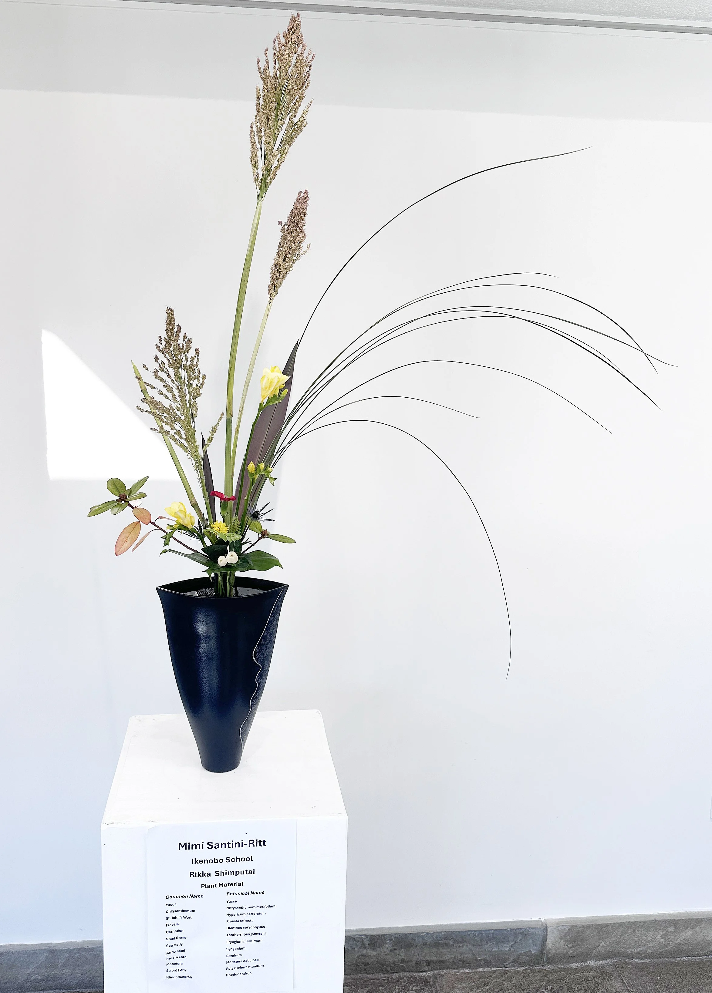 2025-10-25 10.22.05.jpg