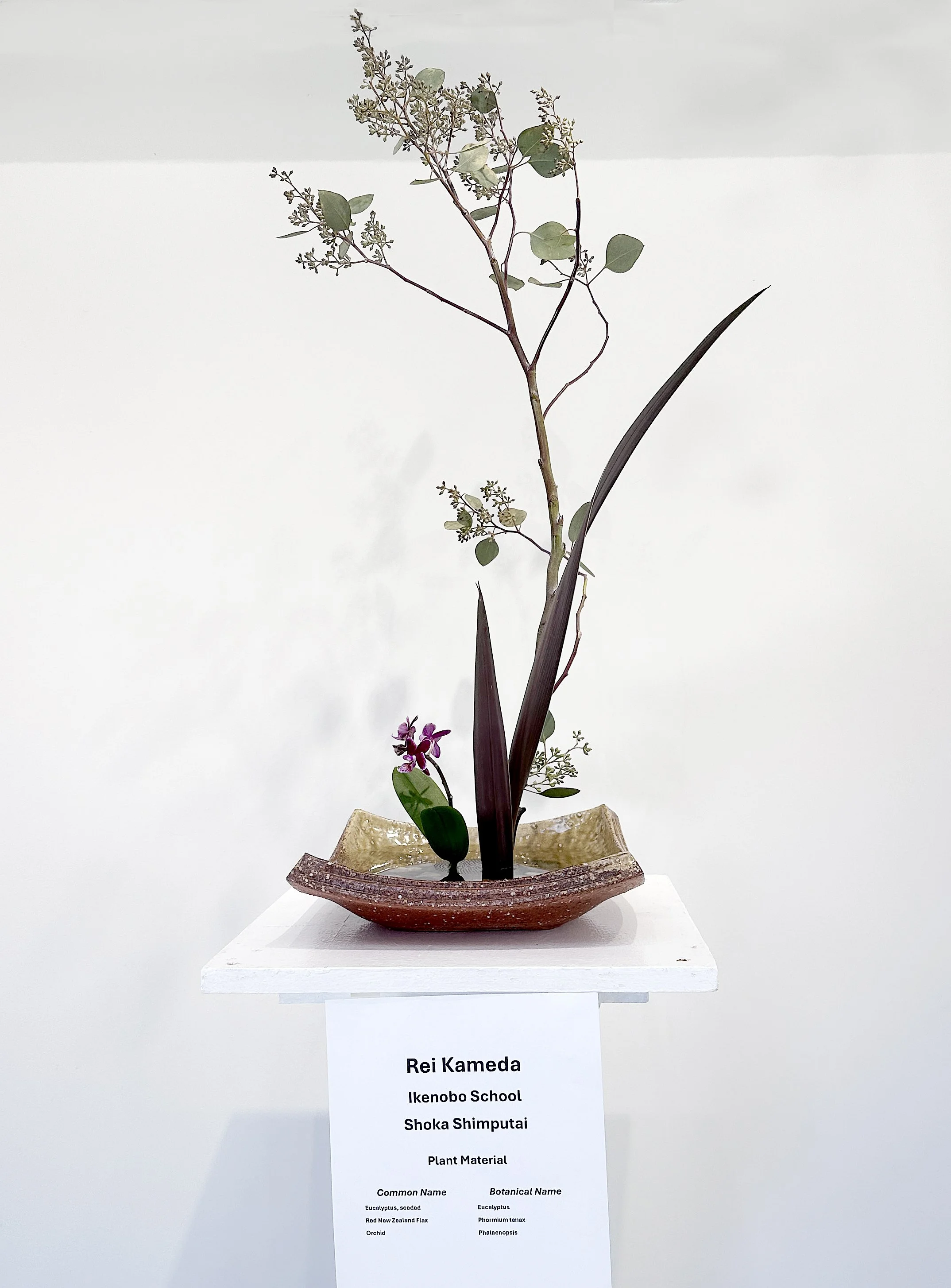 2025-10-25 10.22.28.jpg